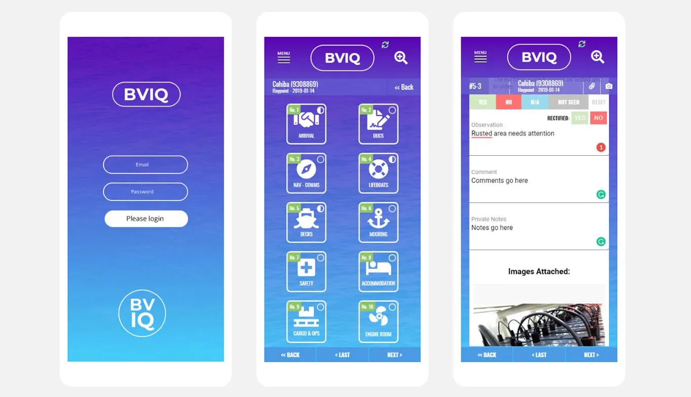 WebApp-BVIQ